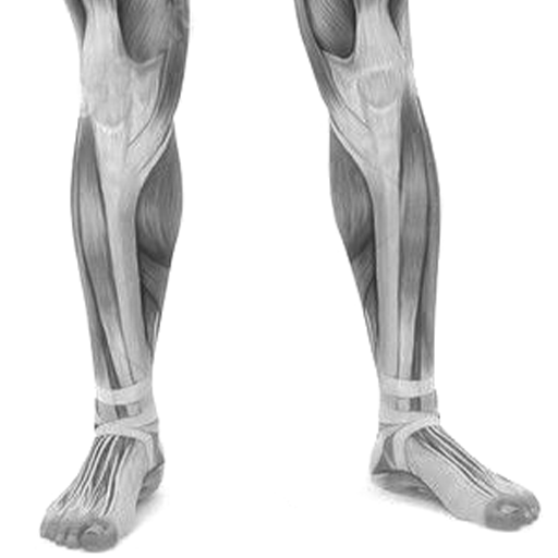 feet-front